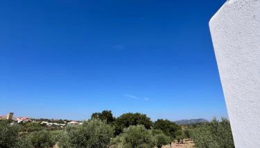 Casa Alentejana - Casa Olival - Foto 4