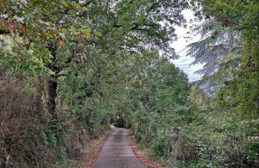 Grand gite & petit gite - Photo 17