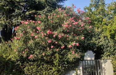 Apartament Cedro del Libano - Photo 12