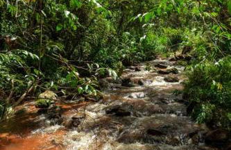 Casa da Floresta - Ibitipoca - Photo 52