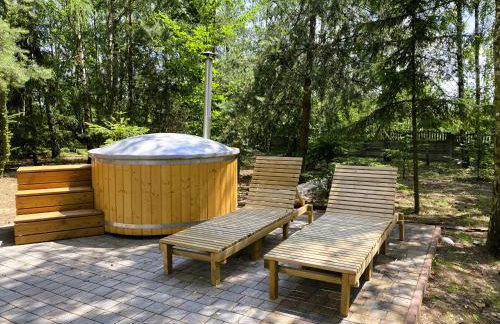 Kasztanowe Wzgórze na Jurze - Foto 4