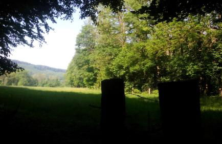 Ferienwohnung Das Fuchsrevier - Foto 27