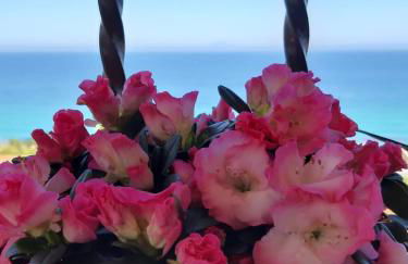 Villa Nausica - Foto 69