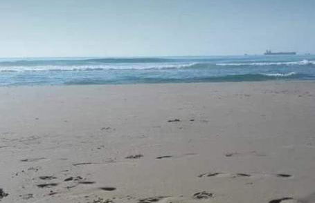 Casa da Felicidade - Foto 50