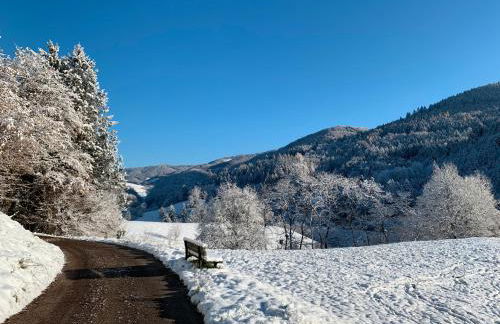 Ferienwohnung Kleines Wiesental - Foto 30