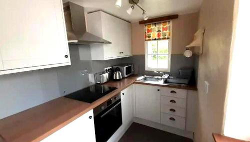 Cottage - Sleeps 2 - River Lynher walks & fishing - Foto 5, stove, dishwasher, toaster, minibar