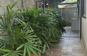 Refúgio em São Pedro da Serra - Foto 63