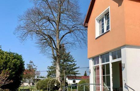 Ferienwohnung am Kronhof - Photo 6