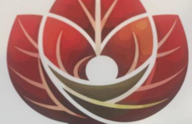 Perfect lodging in Lake Placid - Foto 41