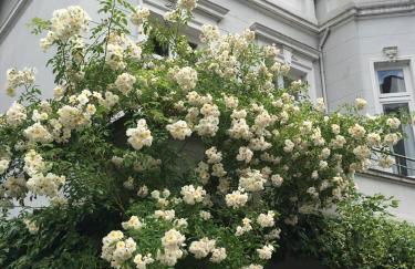 ruhige Wohnung in zentral gelegener Gründerzeitvilla - Photo 14