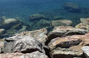 Casa Rosa Marina di Cecina - Foto 29