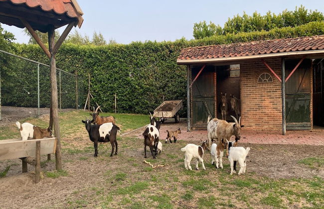 Cozy Holiday Home in Bergen op Zoom With Garden - Foto 44