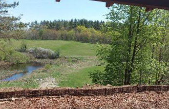 Domek Zielenina - Foto 6