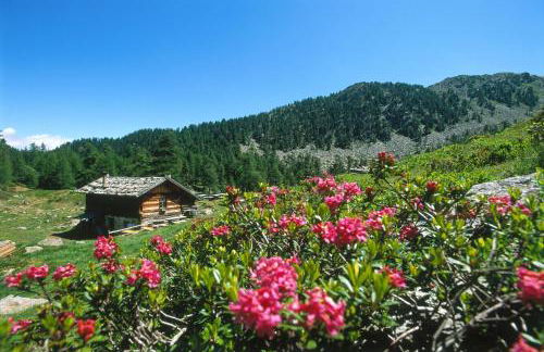 Residence Feldhof - Foto 26