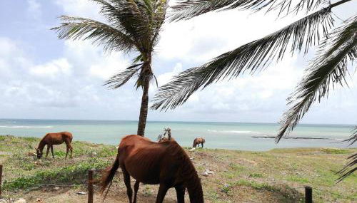 Condominio Praia Caraubas - Foto 5