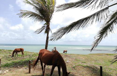 Condominio Praia Caraubas - Foto 5