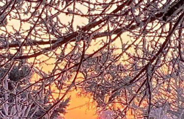 Ferienwohnung-Esel - Foto 4