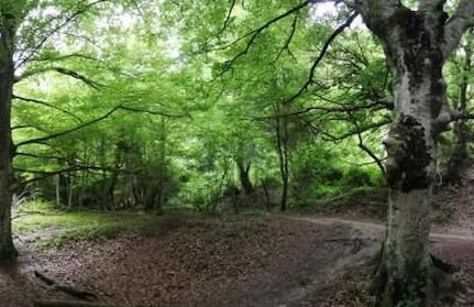 La Madriguera de Tomaso - Photo 62