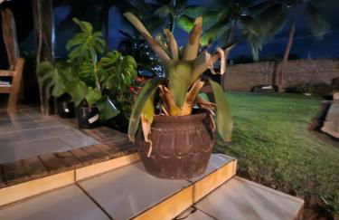 Ilha da Crôa - Barra Sto Antônio - Alagoas - Esquina Praia - Photo 56