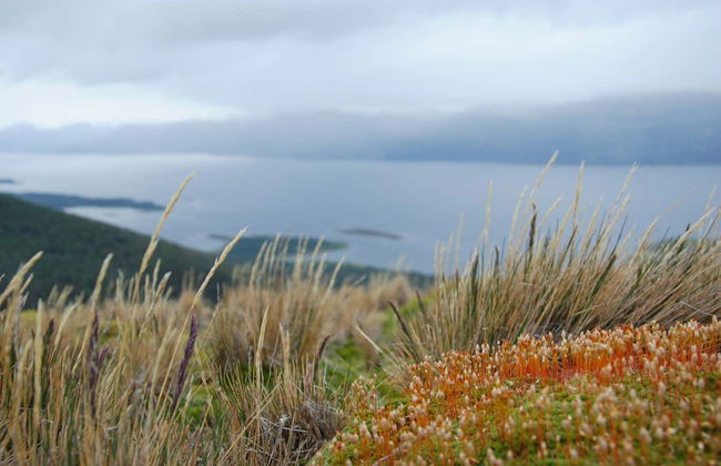 Dientes de Navarino Hike - Photo 4
