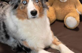 Rhön & Relax Zur Schustermühle - Whirlpool - Foto 14