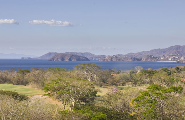 Reserva Conchal Resort - Jobo Complex - Photo 71