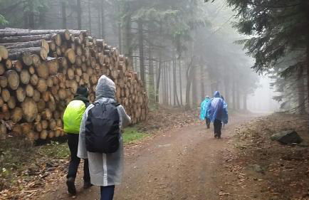 Urlaubsdomizil Am Töpfer - Ferienwohnungen in Olbersdorf - Foto 50