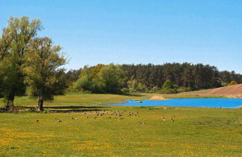 Bungalow am See mit Ruderboot in Klein Labenz - Foto 50