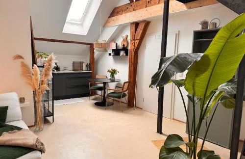 Urban Loft - Appartment in ehemaliger Fabrik zentral in Landau - Foto 23