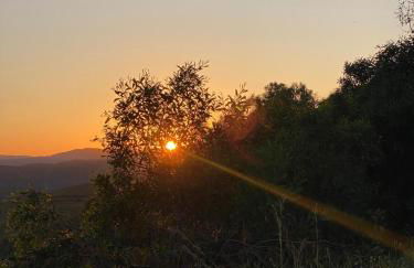 Portugals Infinity Eco Suite Resort - Foto 47