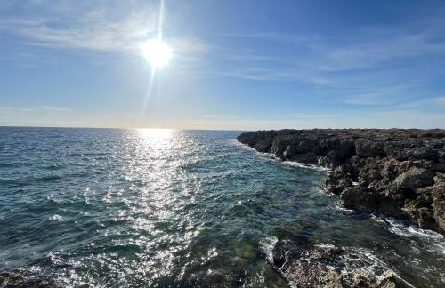 Casa Colimena - Foto 15