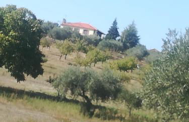 Casa das Argolas - Foto 66