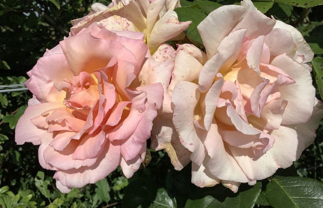 A Serene and Tranquil Escape for two - Photo 13