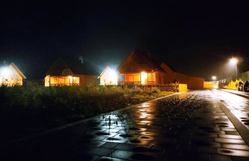 MIODOWA SADYBA Domki całoroczne Kluczbork - Foto 50