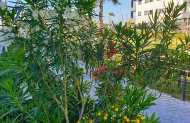 Residencial Costa Doñana (Sanlucar de Barrameda) - Foto 22