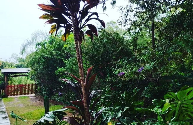 Bungalows El Pindó - Foto 31