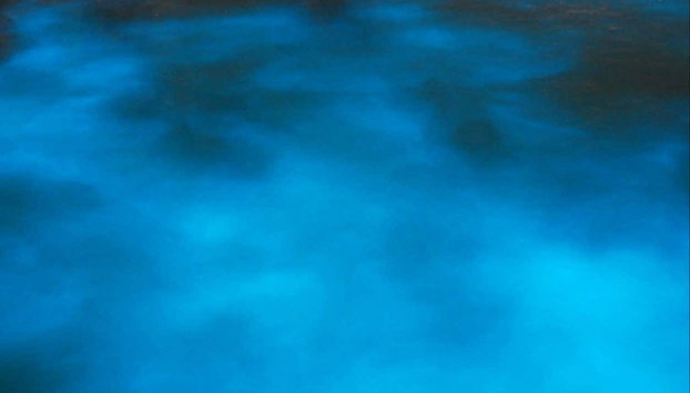 Luminous Lagoon Night Trip - Foto 2