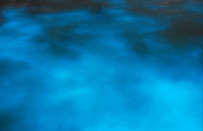 Luminous Lagoon Night Trip - Foto 2