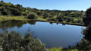 Finca Jaralta de Carmen - Photo 3