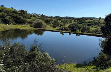 Finca Jaralta de Carmen - Foto 3