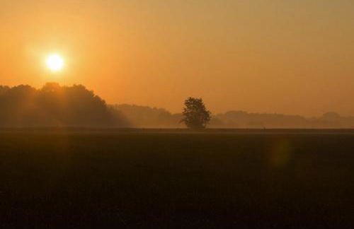 Ferienhaus Kleymann - Photo 28