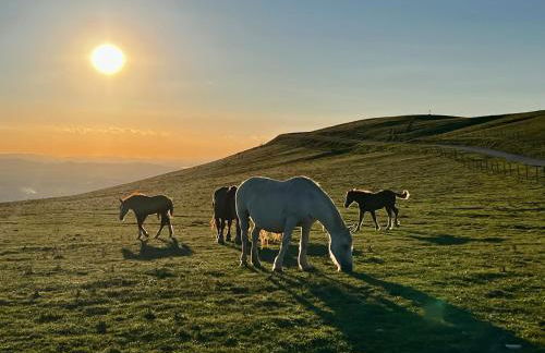 La Gemma del Subasio nel Castello di Collepino - Spello - Photo 74