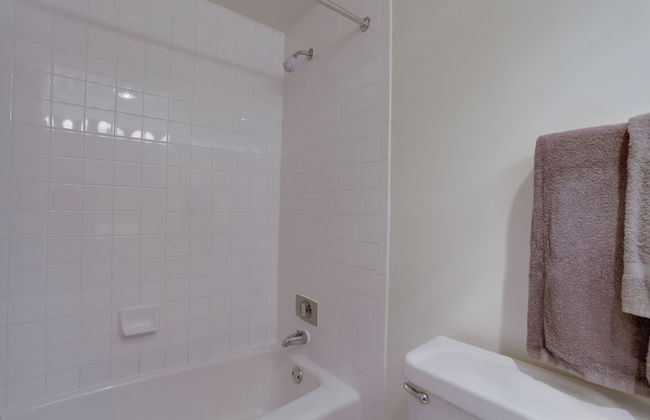 Crystal City Condo w Top Amenities - Photo 30