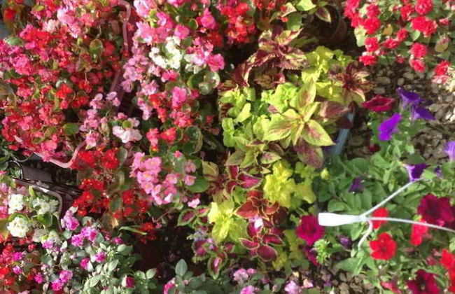 Ccb Bruskos Hotel - Foto 30