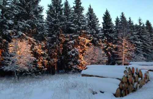 Ferienhaus Ginkgo Biloba - Foto 43