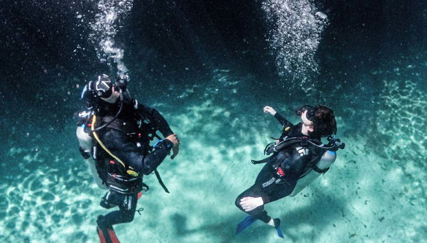 PADI Open Water Diving Course in Tulum - Foto 4