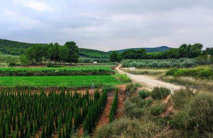 Masía de San Juan Casas número 3 y 5, con piscina, aire acondicionado y vistas a la montaña - Photo 48