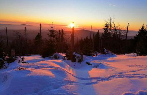 Komfort-Fewo Sylvia - Foto 27