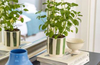 Villa Lente - Foto 68