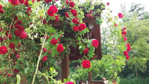 Romantisches Blockhaus an der Märchenstraße! - Foto 3